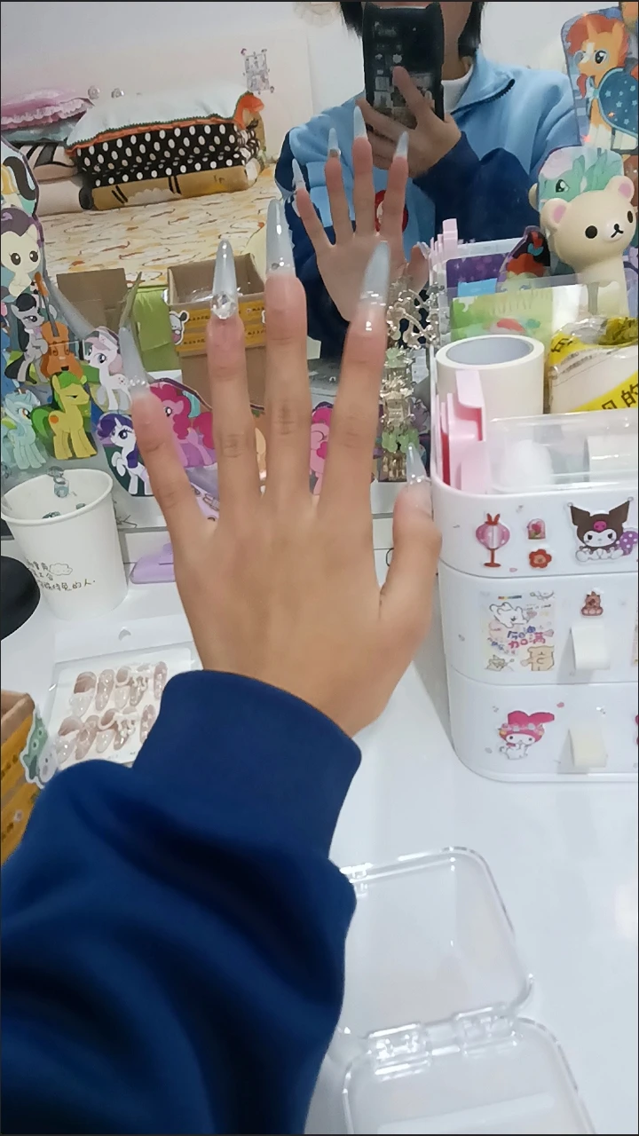 Silver Crystal French Tip Long Press-On Nails — customer review photo