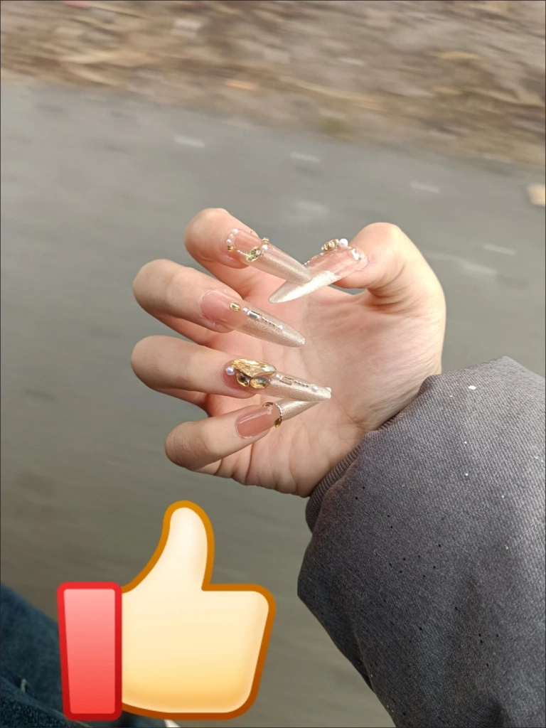 Crystal Cat Eye Stiletto Press-On Nails — customer review photo